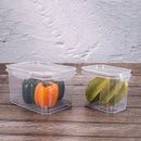 Food Storage Container for Fridge 135.25 fl oz Hermetic Closure Plasutil | BPA Free Plastic Refrigerator with Removable Drain & Lid