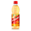 SUCO CONCENTRADO DE CAJU | MAGUARY SUCO DE CAJU CONCENTRADO 16.9 floz