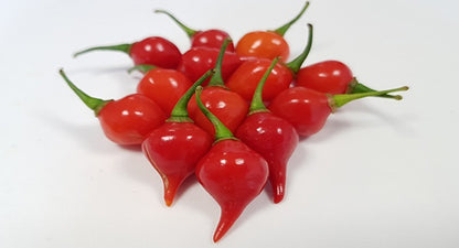 Aroma D´Minas Pimenta de bico 100g