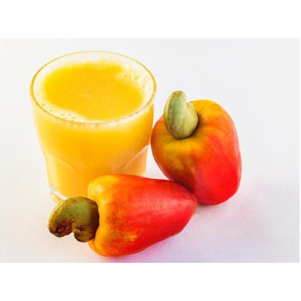 JUGO CONCENTRADO DE ANACARDO | MAGUARY SUCO DE CAJU CONCENTRADO 16.9 floz